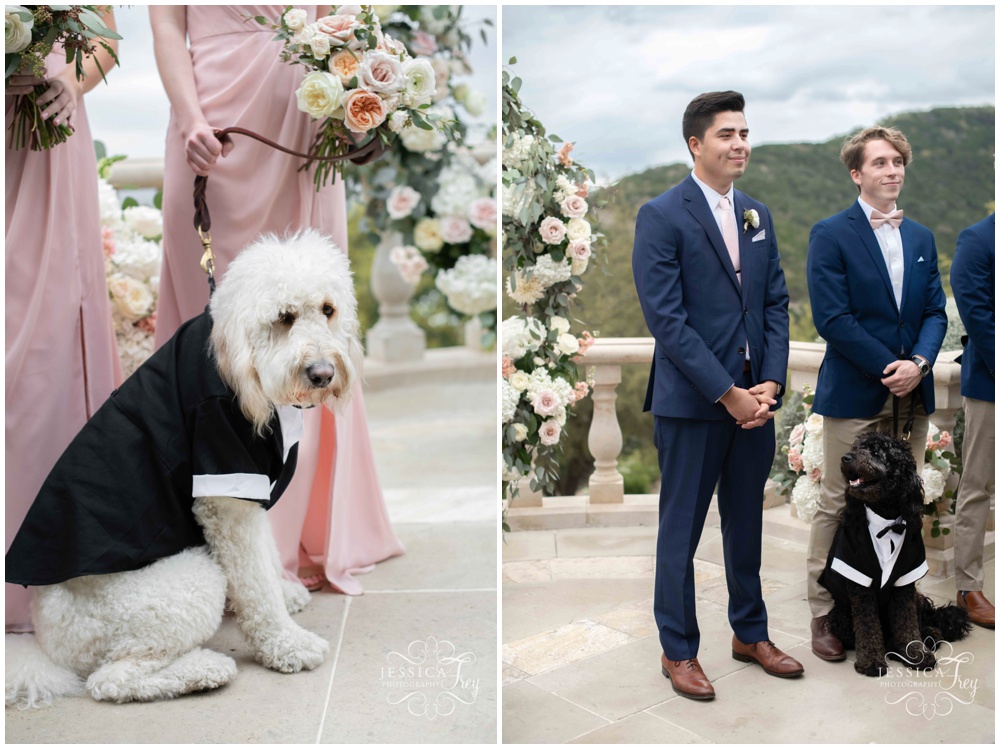 Best Dog and Dog of Honor at Villa Del Lago Wedding in Austin Texas